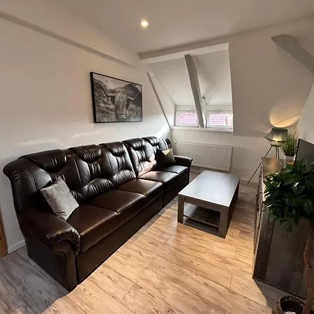 Elbbrise Apartmán *